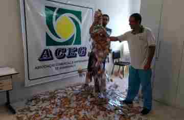 Guaraniaçu - Veja os ganhadores da promoção de fim de ano da ACEG
